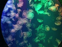 -成都浩海立方海洋公园