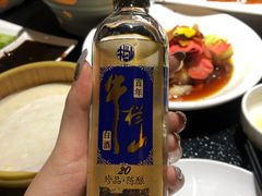 -鸭王烤鸭店(三里河店)