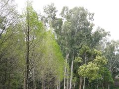 -福建鲤鱼洲酒店