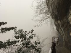-鹿院坪生态旅游景区