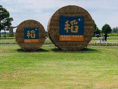 -嘉北郊野公园