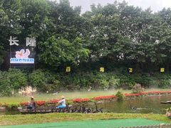 -广州长隆飞鸟乐园