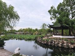 -无锡蠡湖国家湿地公园-蠡园
