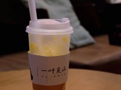 觅山橙-一叶觅山(半边街店)
