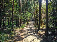 -狼山风景名胜区