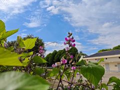 -上海日海酒店-停车场