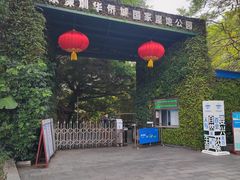 -华侨城湿地公园