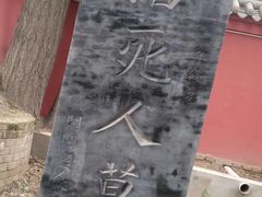 -活死人墓