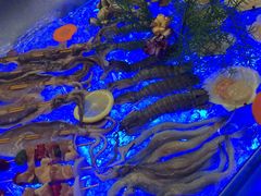 -润泰柏金酒店·润芳阁中餐厅