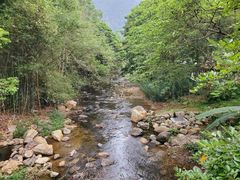 -广州市石门国家森林公园