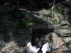 -兰亭风景区