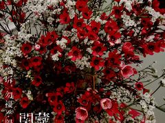 -双季花艺园艺市场(浦东店)