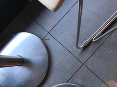 -肯德基(国展店)