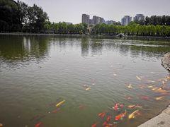 -中国农业博物馆