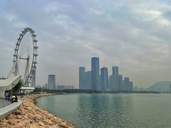 -宝安西湾红树林湿地公园