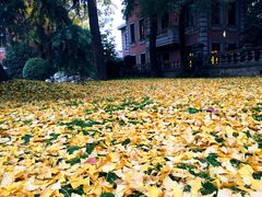 iphone_upload_pic-上海瑞金洲际酒店