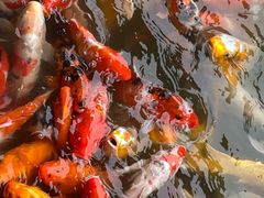 -泰安地下龙宫景区