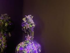 -星聚会KTV(苏州信投大厦店)