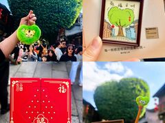 -三坊七巷历史文化街区