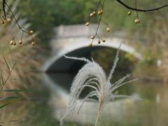 -梁鸿国家湿地公园