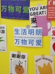 -洗脸猫·洗脸吧