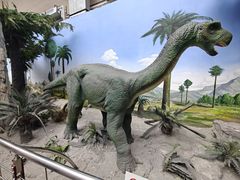 -国家自然博物馆