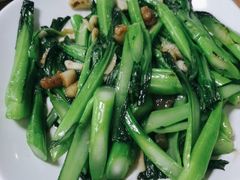 -新合益乡村农庄