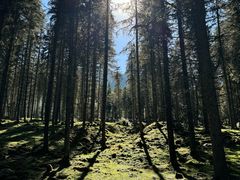 -硗碛藏寨·神木垒景区