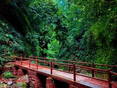 -赤水丹霞旅游区·佛光岩