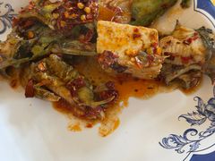 -胖大姐黄辣丁鱼庄(新津店)