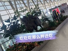 -银川河东国际机场