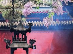 -红螺寺