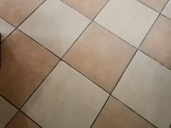 -故乡缘·香格里拉山庄(冷竹路店)