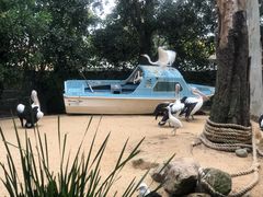 -费瑟代尔野生动物园