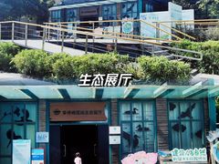 -华侨城湿地公园