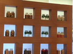 -成都世纪城假日酒店-西楼