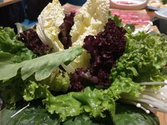 -青瓷火锅料理(西单大悦城店)