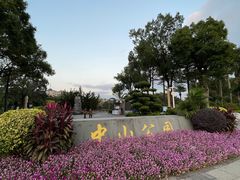 -长洲岛