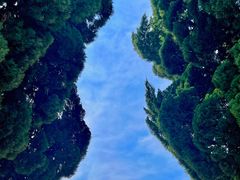 -小麦岛公园