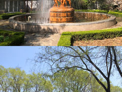 -沈阳植物园