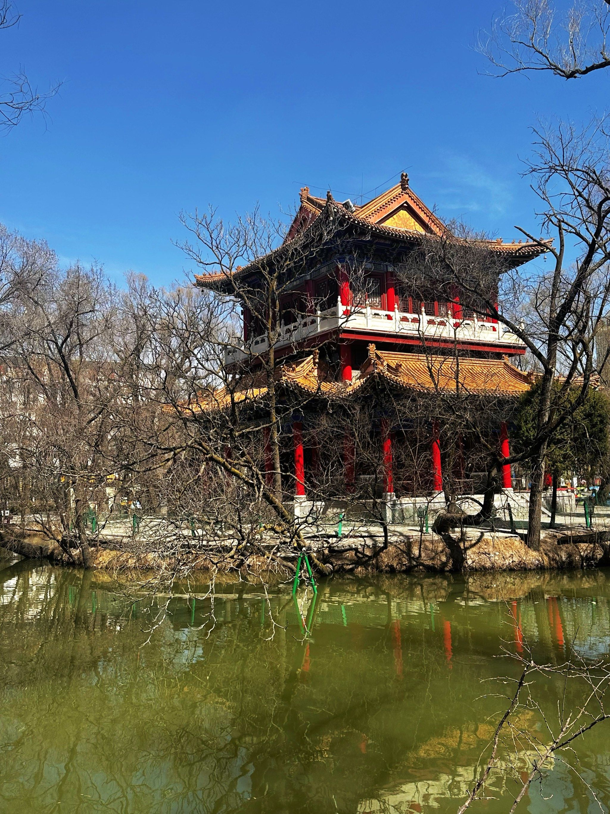 平凉柳湖公园,春意盎然