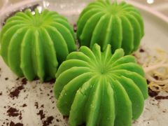 -顺风山庄(水濂山店)