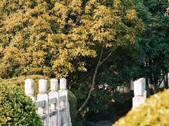 -环城公园-琥珀潭