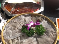 -蜀香居鲜毛肚火锅