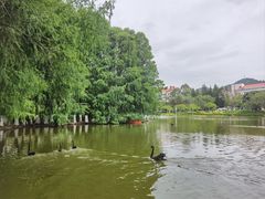 -厦门大学(思明校区)