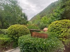 -麦积山温泉