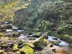 -本溪汤沟绿石谷森林公园