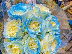 -循礼门鲜花花市(武汉循礼门店)