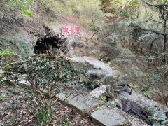 -宁波市保国寺古建筑博物馆