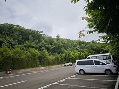 -亚龙湾热带天堂森林公园